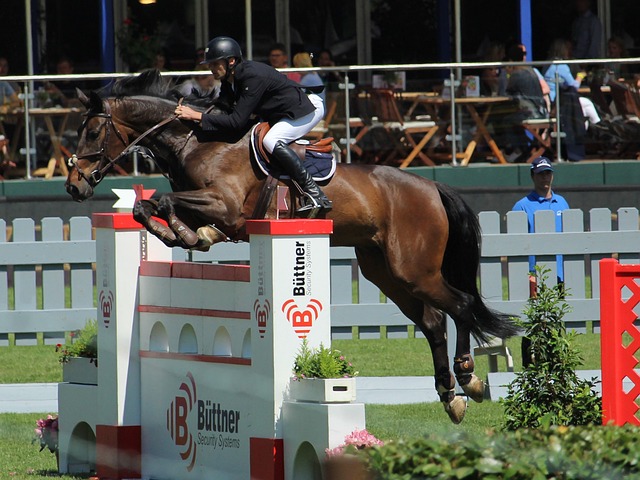 土耳其vs格鲁吉亚谁能赢预测分析 格鲁吉亚迎来欧洲杯首秀.