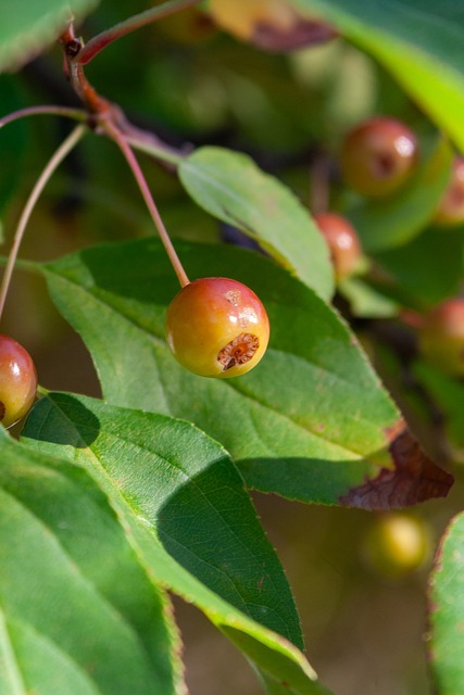 在试验前 在试验前