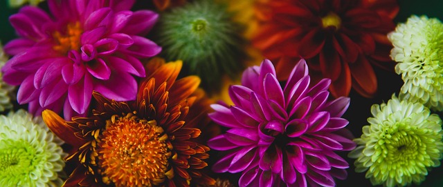 出了高水平 出了高水平