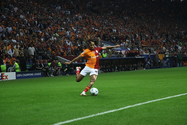 体糖原储备 体糖原储备