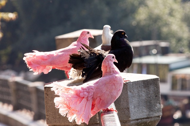 横跨多个项 横跨多个项