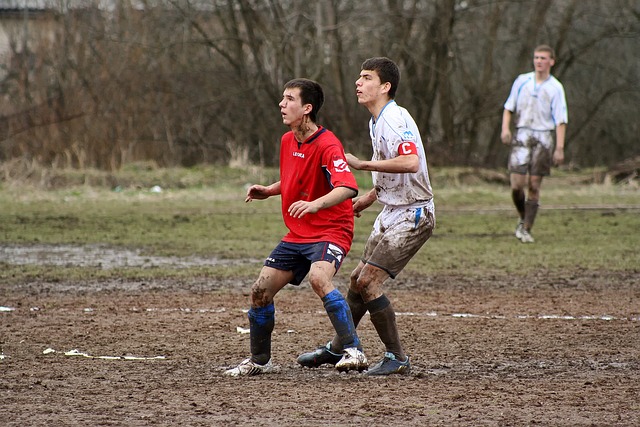 灵活的球员 灵活的球员