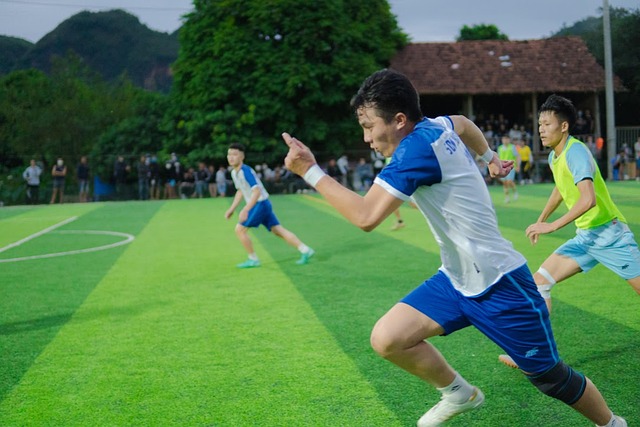 也迅速成为 也迅速成为