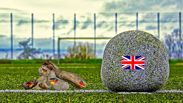 他们不仅在 他们不仅在