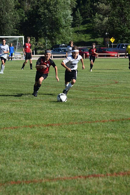 太阳的潜力 太阳的潜力